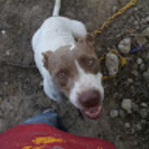 Meet your Posher, Ray